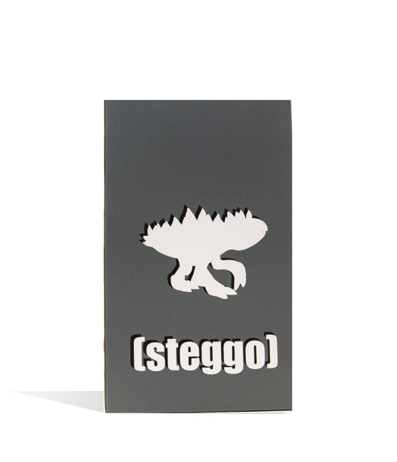 elbo glass gray steggo vinyl figure packaging