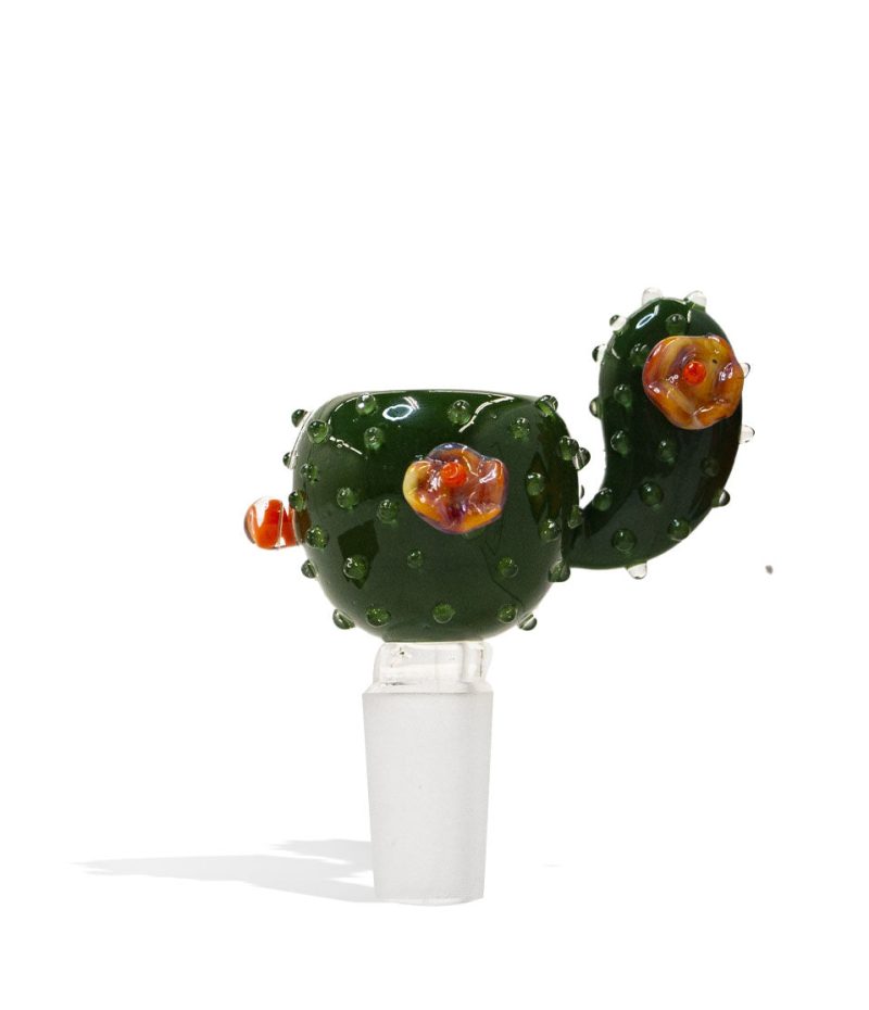 empire glassworks bowl piece cactus