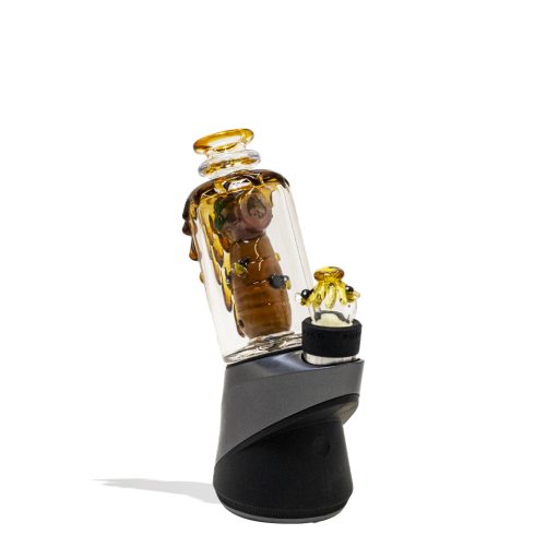 glass attachment bee hive